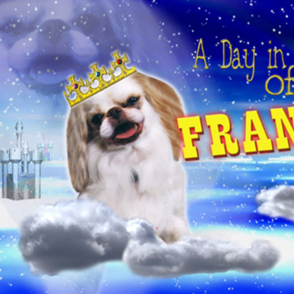 Childrens Book with Animated CD ROM